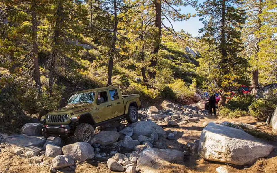 2025 Jeep Gladiator in a forest