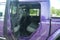 2026 Jeep Gladiator Mojave X