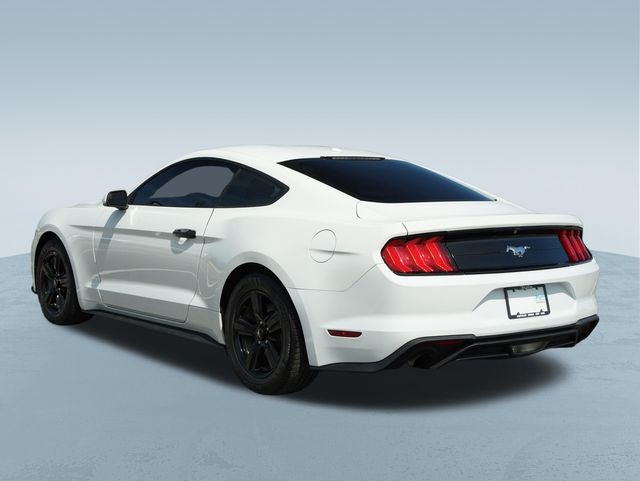 2019 Ford Mustang EcoBoost