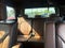 2023 Ford Expedition King Ranch