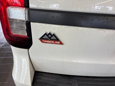 2023 Ford Expedition Timberline